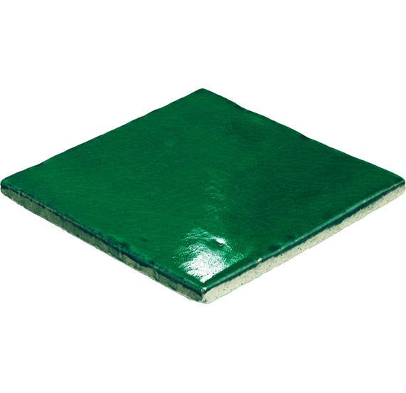 Natural Hues Fern Square 12X12 Matte