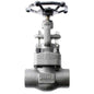 852 OS&Y Globe Valve, 1-1/2 in, FNPT, Forged Steel