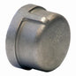 Cap, 3/4 in, FNPT, 304/304L Stainless Steel, 150 lb