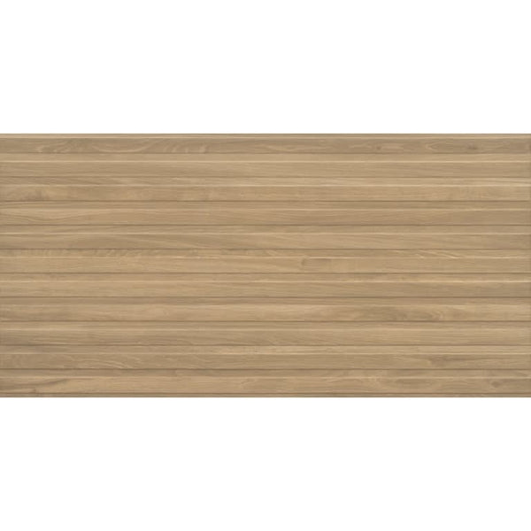 CHORUS BAND OAK MT 24X47