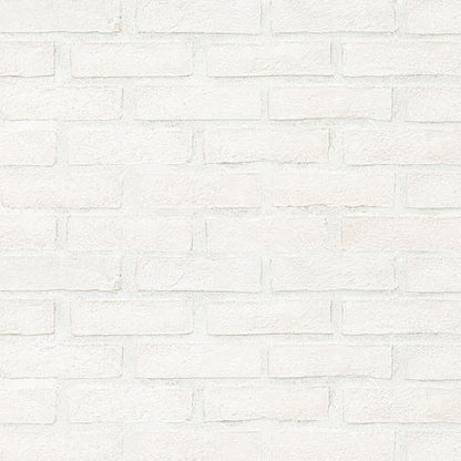 Alpine White Clay Brick 2..5