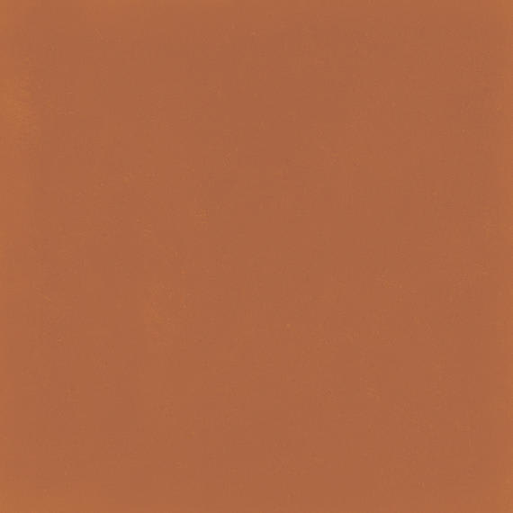 D_Segni Color Tangerine Square 8X8 Matte