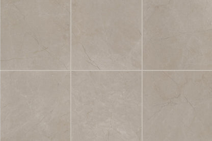 Classentino Marble Coliseum Gray Rectangle 8X24 Textured