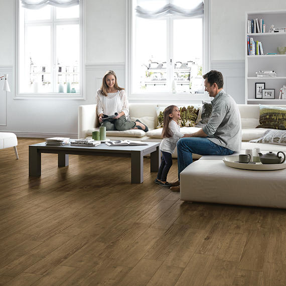 Saddle Brook Farmhouse Plank 6X36 Matte
