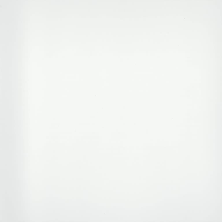 STYLE II PURE WHITE PL 24X24