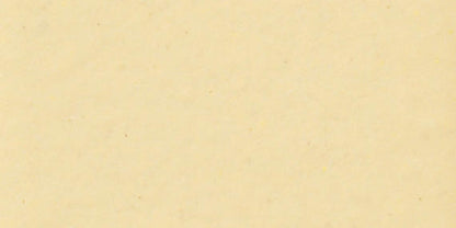 Color Wheel Classic Cornsilk Rectangle 3X6 Glossy