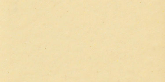 Color Wheel Classic Cornsilk Square 6X6 Glossy