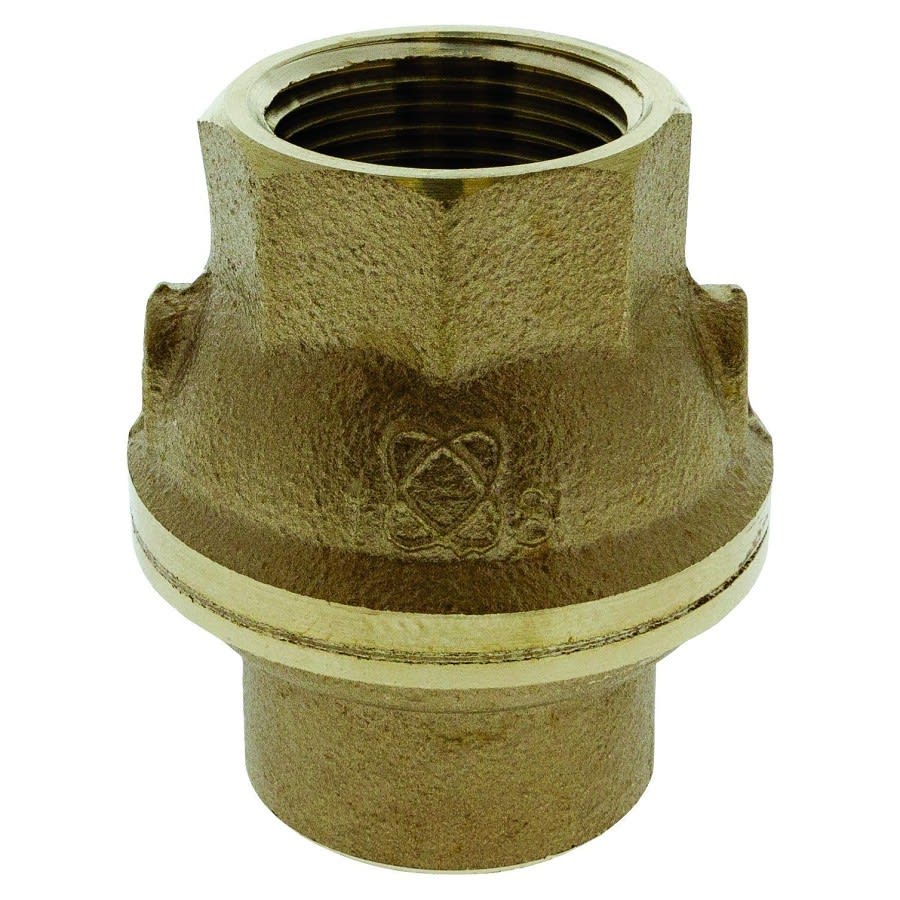 Ring Check® Spring Check Valve, 3/4 in, FNPT, Bronze