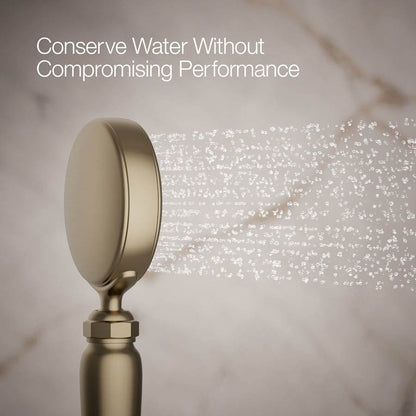 Artifacts 1.75 GPM Single Function Hand Shower with MasterClean Sprayface