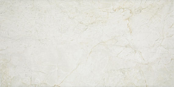 Platinum Alabaster Rectangle 12X24 Matte