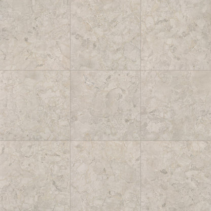 Forgehaus Terra Rectangle 12X24 Matte