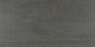 Theoretical Evolved Imaginative Gray Rectangle 12X24 Textured