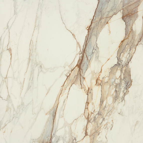 Panoramic Duet Calacatta Topaz Rectangle 12X24 Polished