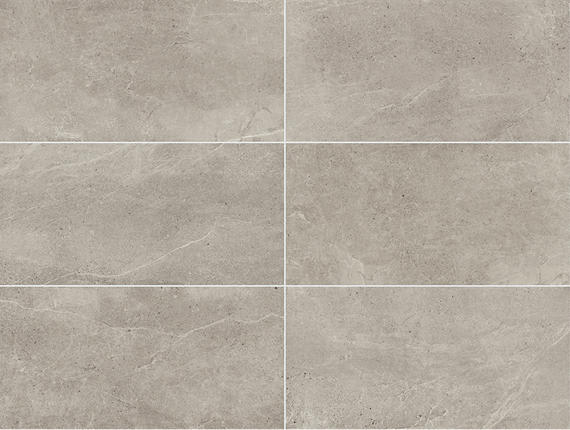 Primstone Ash Rectangle 12X24 Matte