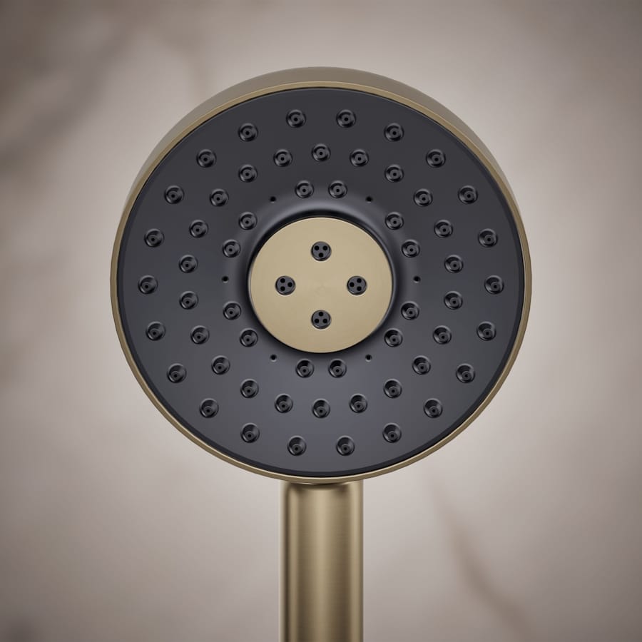 Statement 2.5 GPM Multi Function Hand Shower with MasterClean Sprayface and Katalyst Air Induction Technology