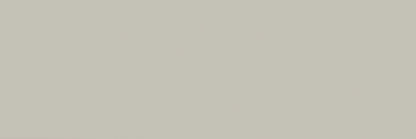 Hawthorne Scholarly Gray Rectangle, Bevel 4X12 Glossy