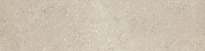 Dignitary Notable Beige Rectangle 12X24 Matte