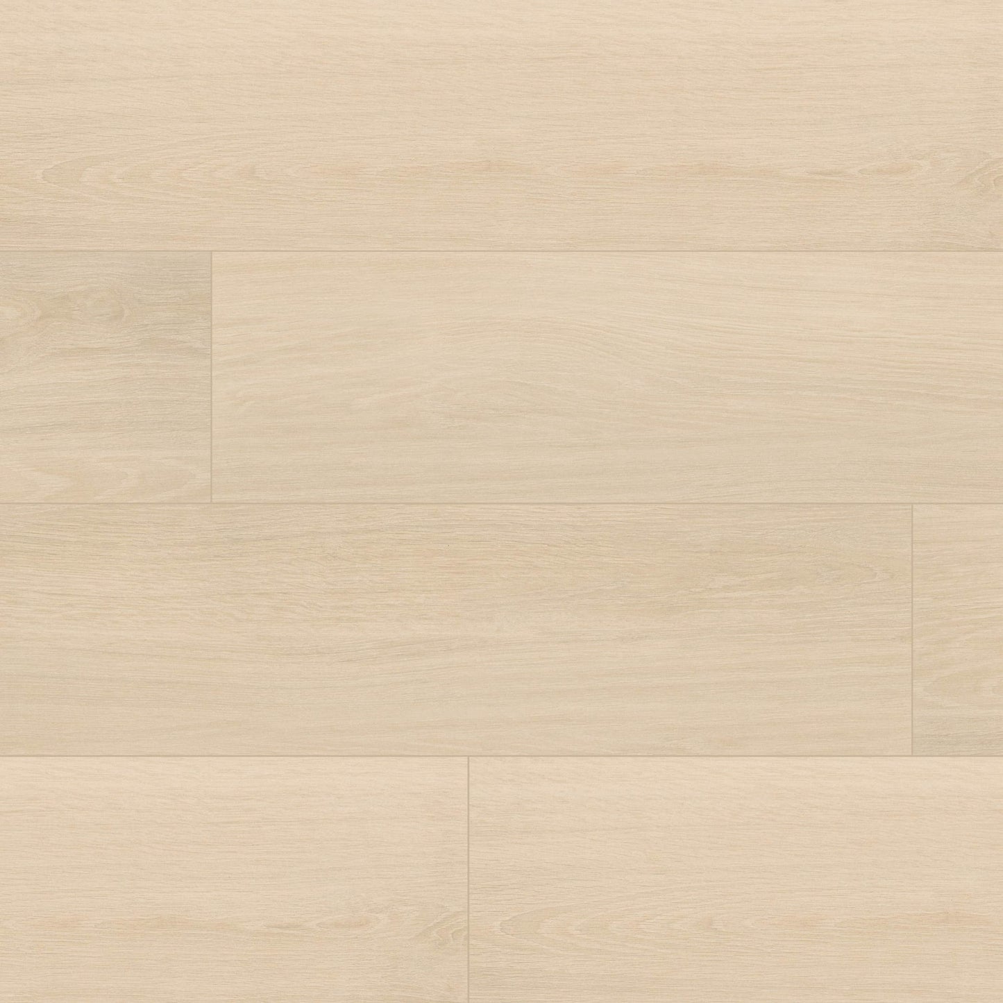 Placero Maple