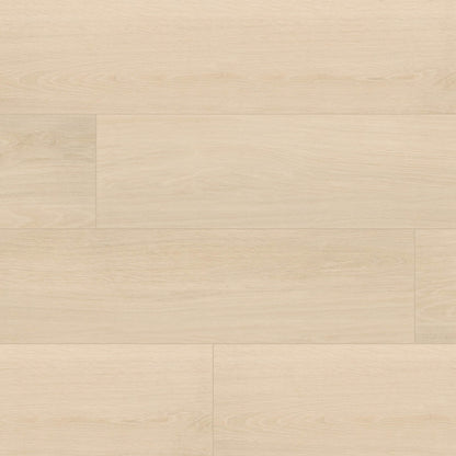 Placero Maple