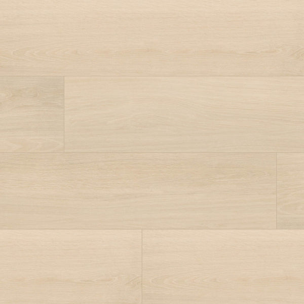 Placero Maple