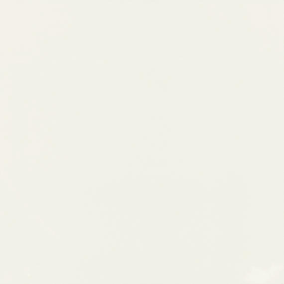 Pure Frost White Rectangle 12X24 Polished
