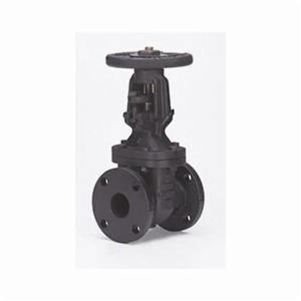 2885A OS&Y Gate Valve, 6 in, Flange, Cast Iron