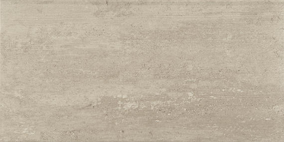 Theoretical Evolved Fundamental Gray Rectangle 12X24 Textured