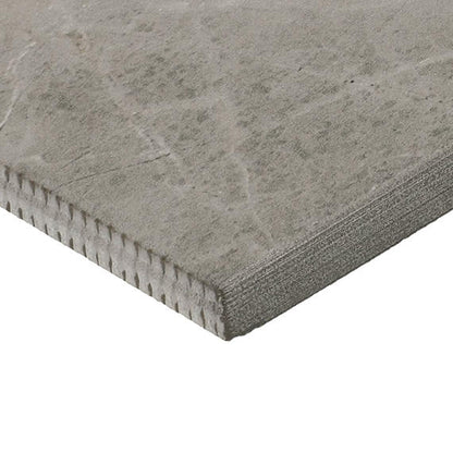 Platinum Dove Rectangle 12X24 Matte