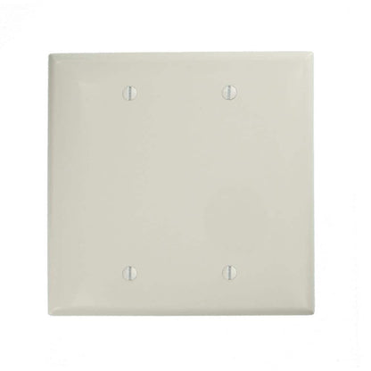 White 2-Gang Blank Plate Wall Plate (1-Pack)