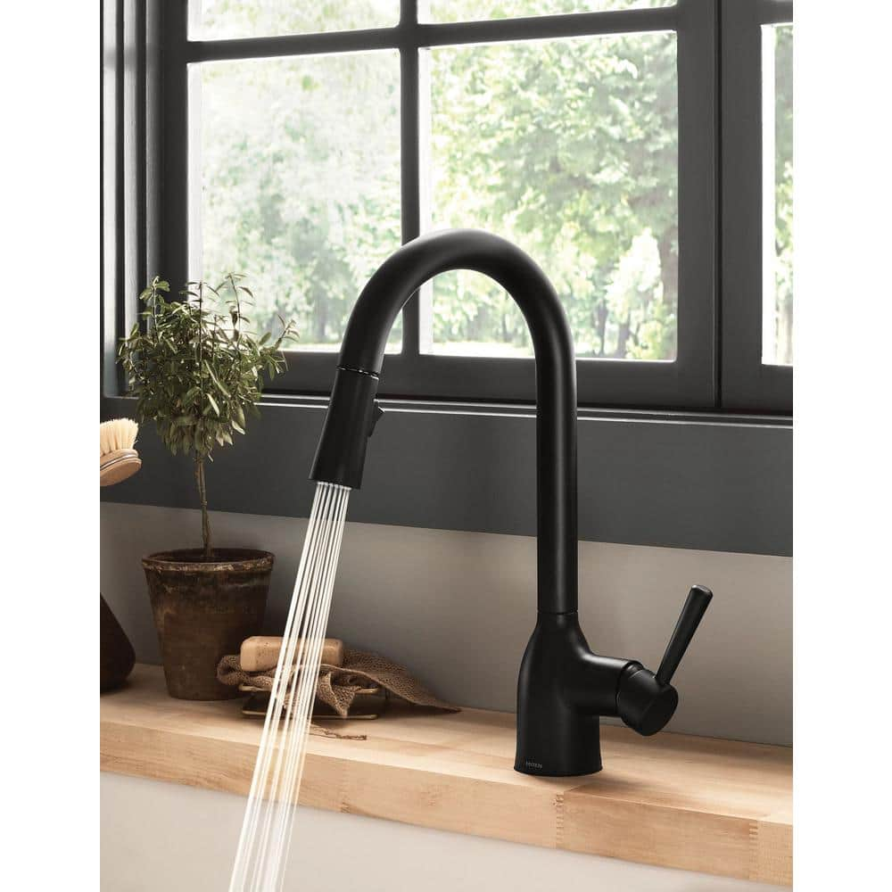 Adler Single-Handle Pull-Down Sprayer Kitchen Faucet with Reflex and Power Clean in Matte Black