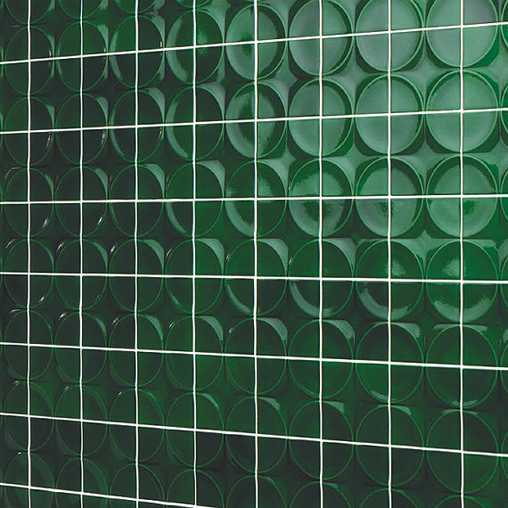 Natural Hues Fern Square 8X8 Matte