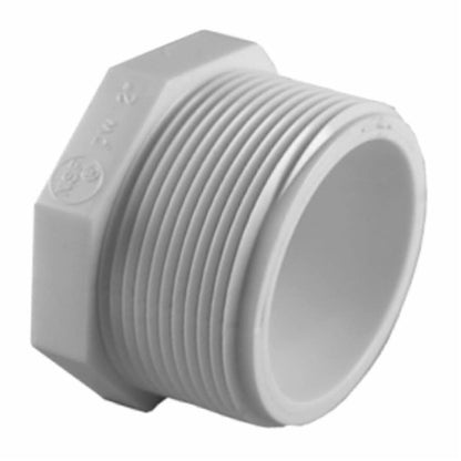 Plug, 2 in, MNPT, SCH 40/STD, PVC