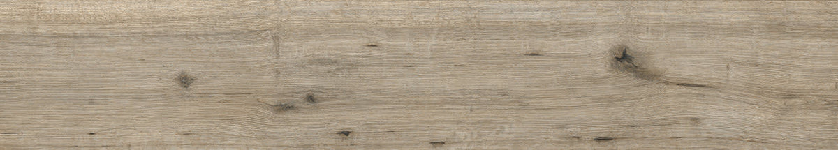 Caldera Olive