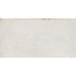 COGENT SILVER 16X31