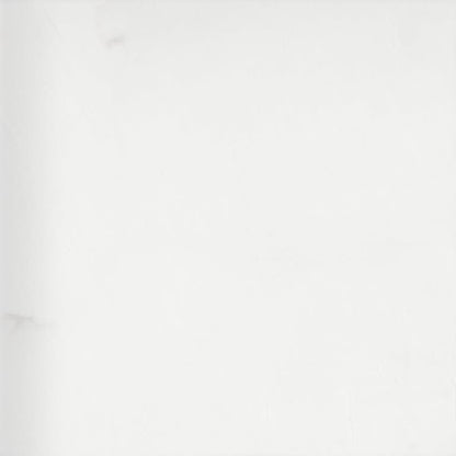 MARBLE THASSOS WHITE 24X24
