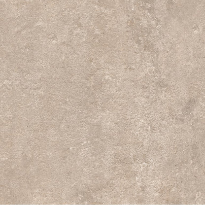 PERENNE COOKIE MT 24X24