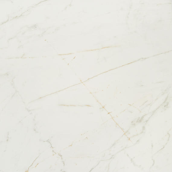 Panoramic Duet Diamond Mine Rectangle 24X48 Polished
