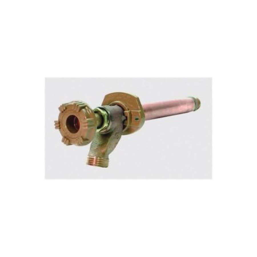 Hose Bibb, 1/2 in Inlet, MNPT or C, Rough Brass