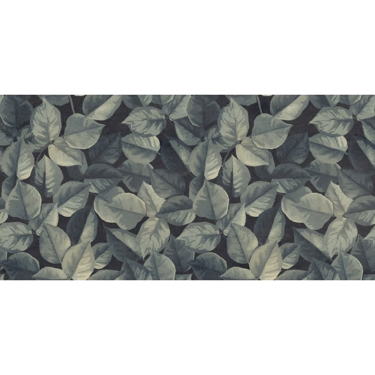 PIANTE DECO JUNGLE MT 23X47