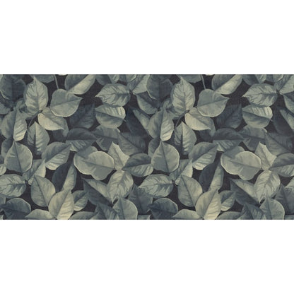 PIANTE DECO JUNGLE MT 23X47