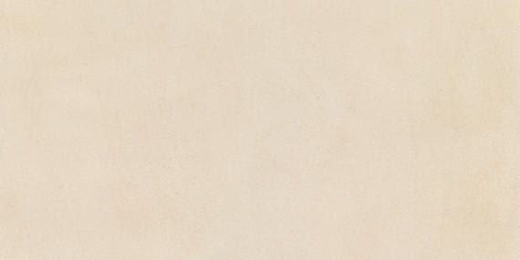 Basalto Pomice Rectangle 12X24 Matte