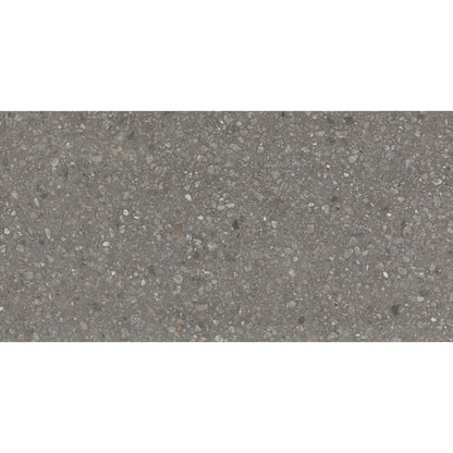 PERENNE JAVA R11 24X47