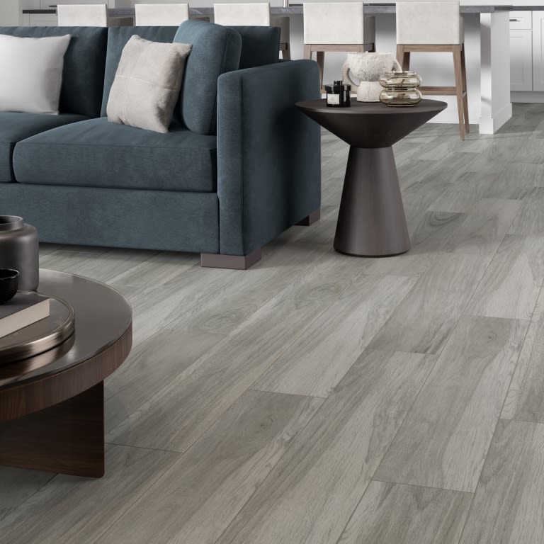 VICTUS GRAY 8X47
