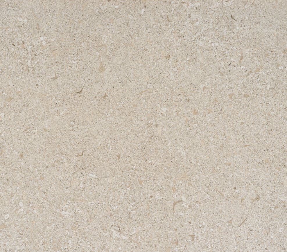 Avorio