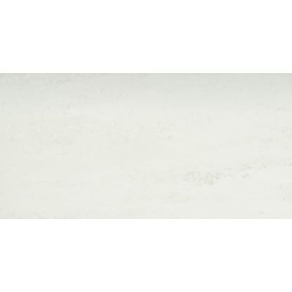 PRODIGY AGNESI PL 12X24