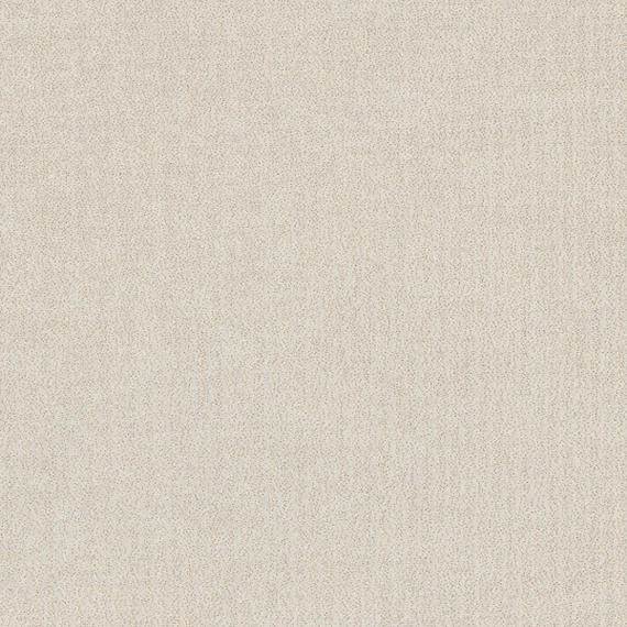 Color Wheel Classic White Rectangle 3X6 Glossy