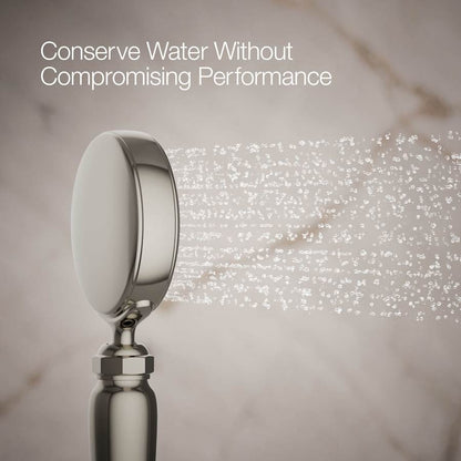 Artifacts 1.75 GPM Single Function Hand Shower with MasterClean Sprayface