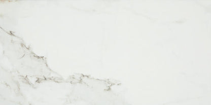 Platinum Magnolia Rectangle 6X18 Glossy
