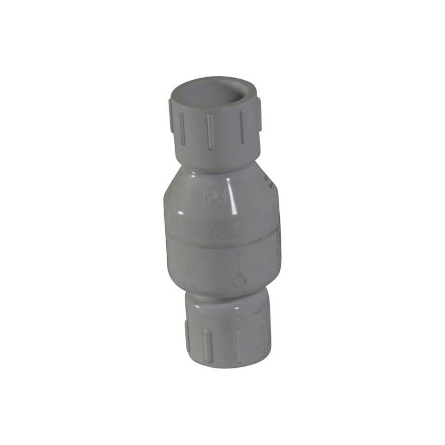 Spring Check Valve, 1 in, Socket, PVC