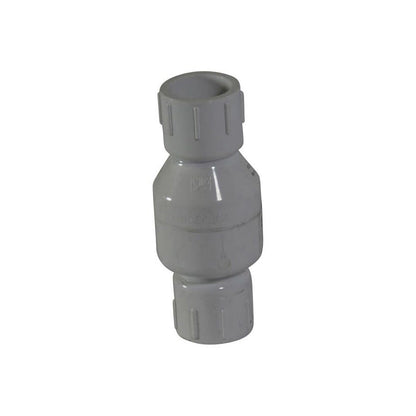 Spring Check Valve, 1 in, Socket, PVC